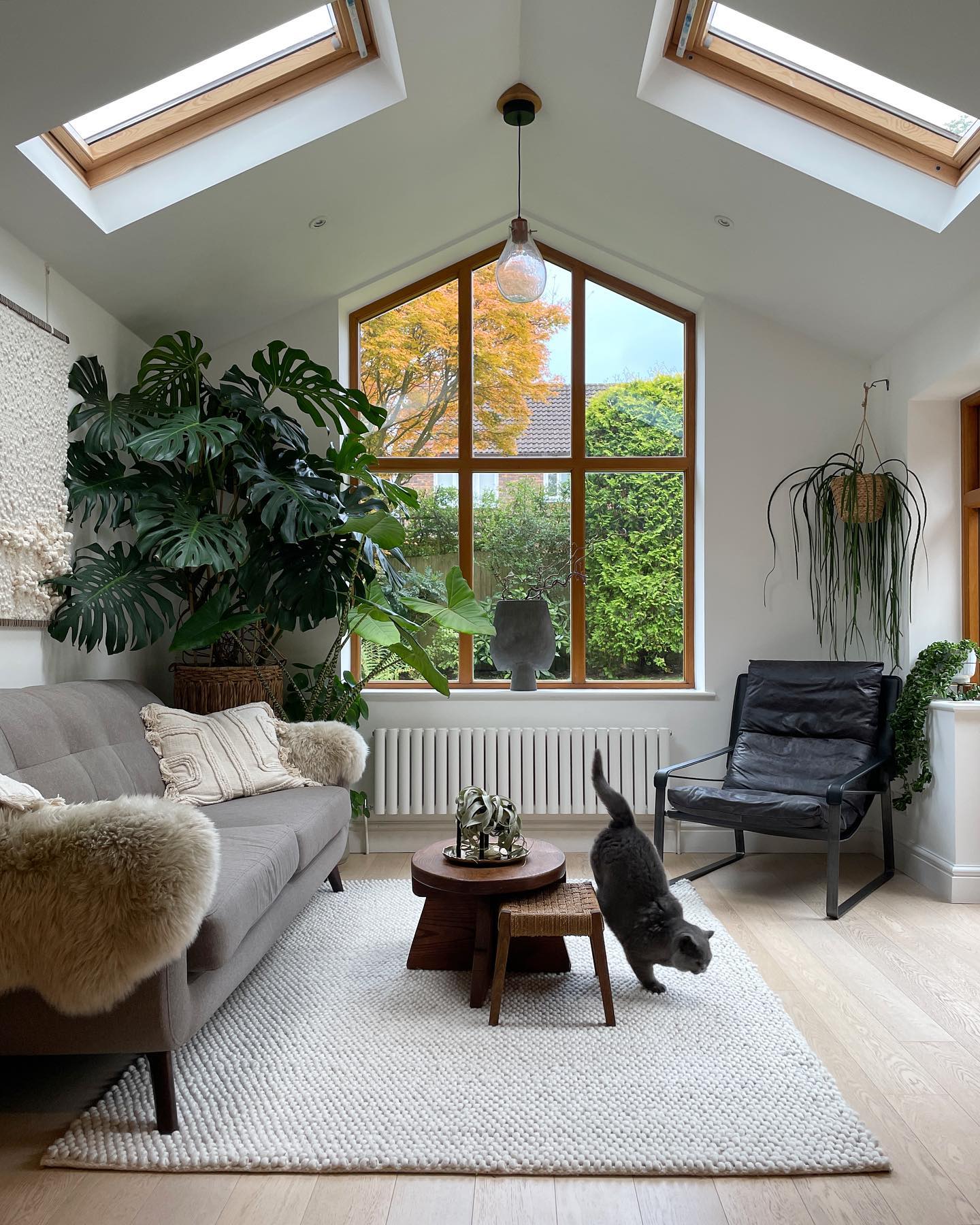 14. Add a Sculptural Chair to a Plant-Filled Room