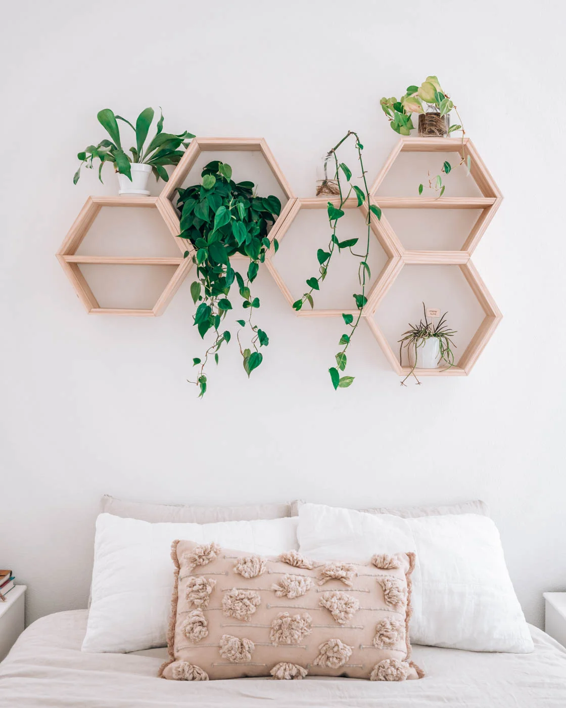 10. Let Open Wooden Shelves Frame a Small Plant Collection