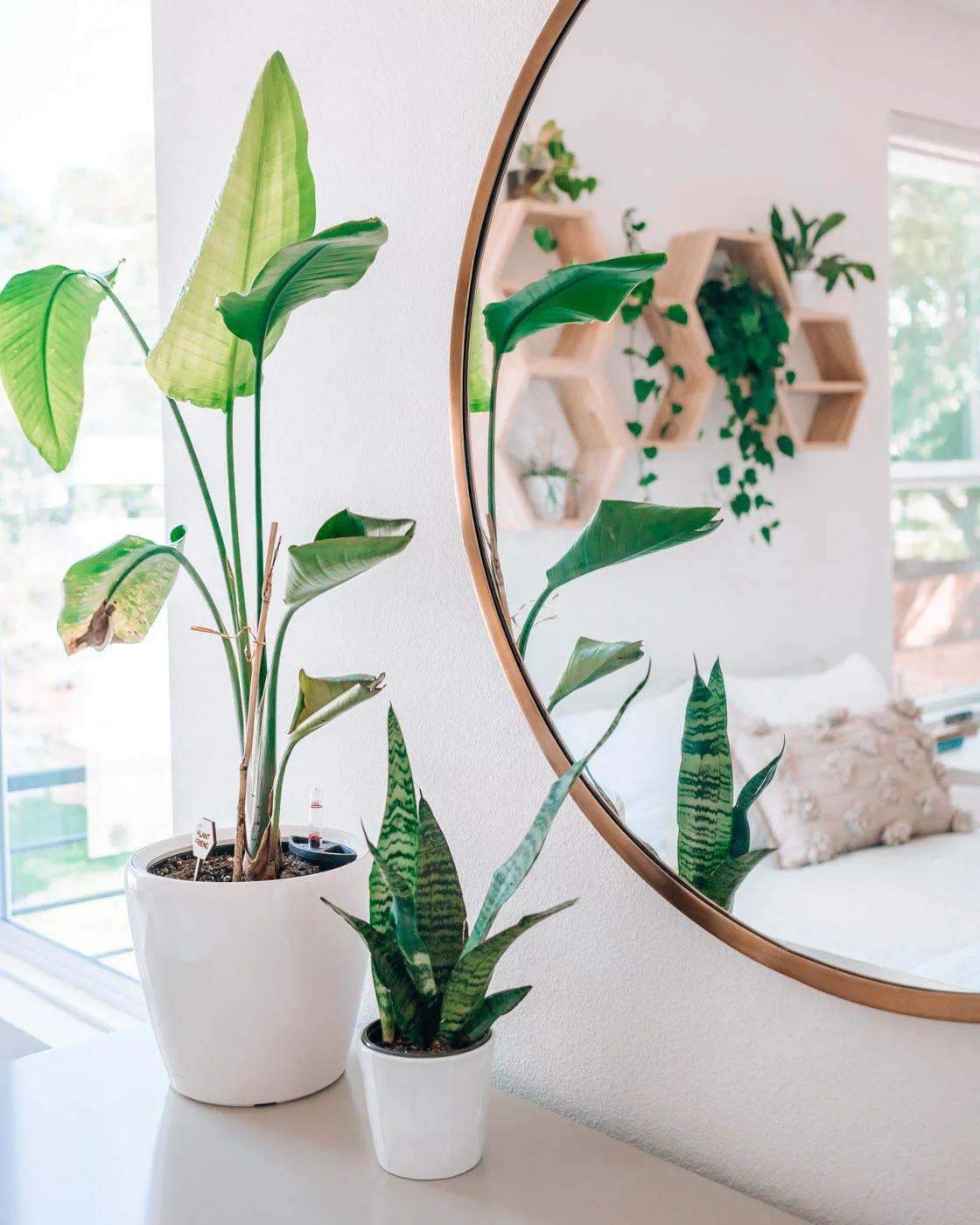17. Use a Round Mirror to Echo a Green Bedroom Corner