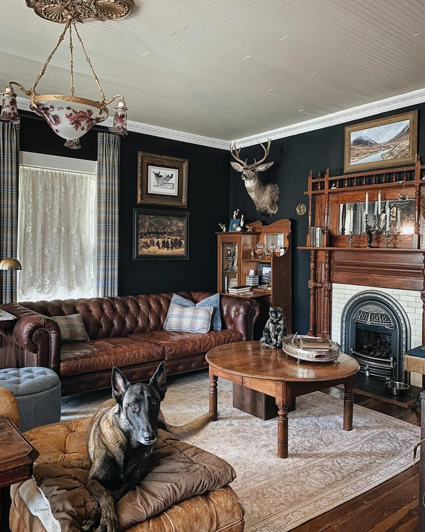 Set Brown Leather Against Nearly Black Walls