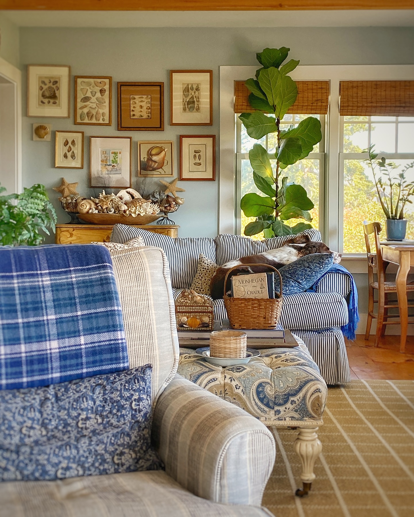 Keep Favorite Books Close in a Woven Basket