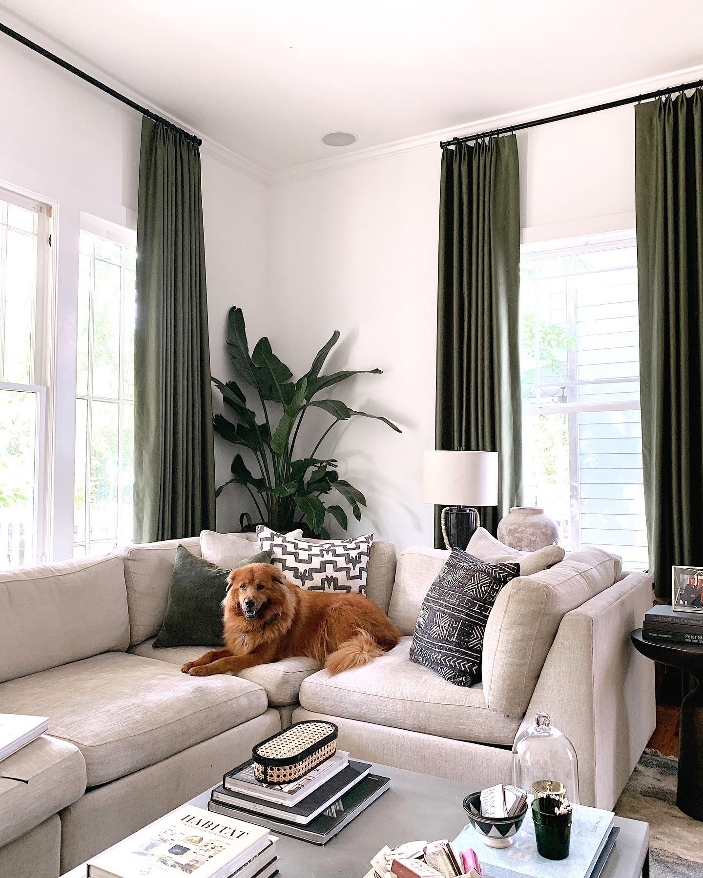 11. Introduce Muted Green with Tall Curtains