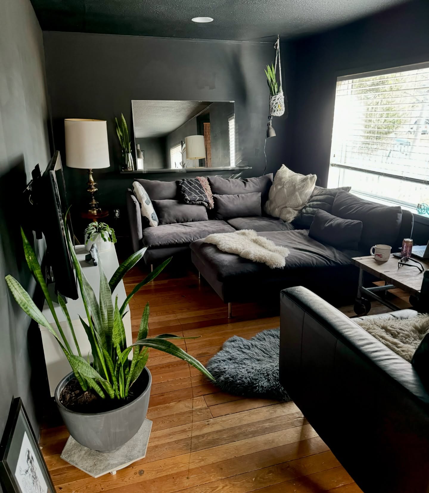 2. Let Plants Soften a Black Room