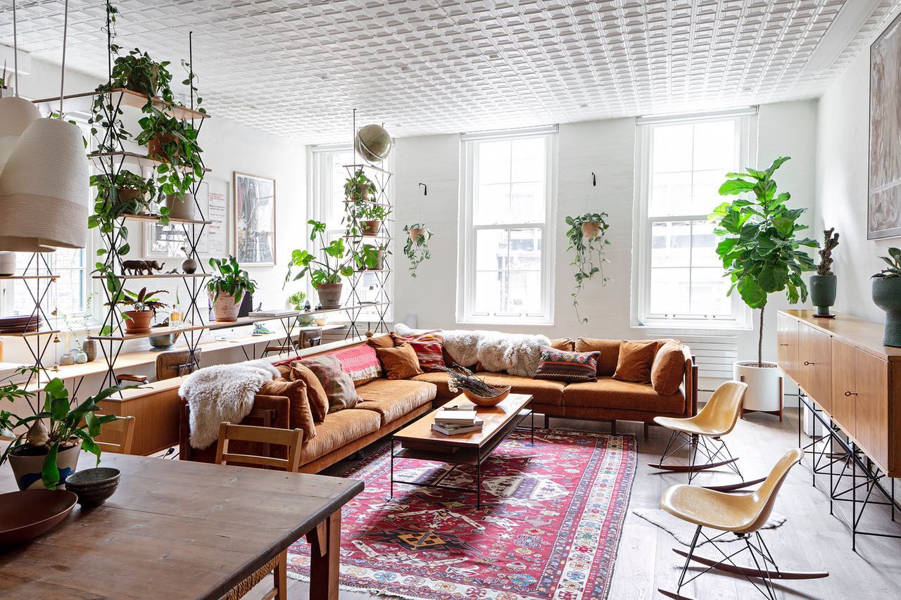 14. Use Open Plant Shelves as a Room Divider