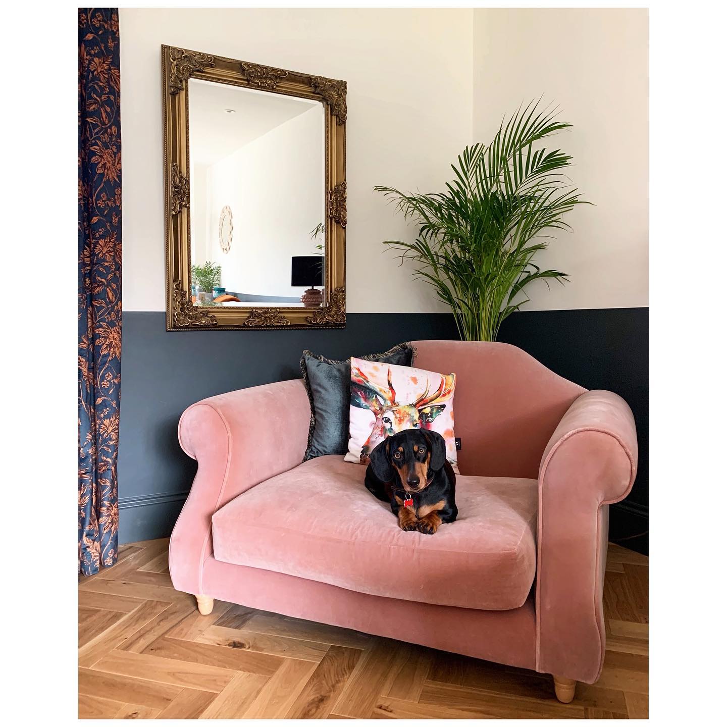 2. Frame a Pink Chair With Dark Paint