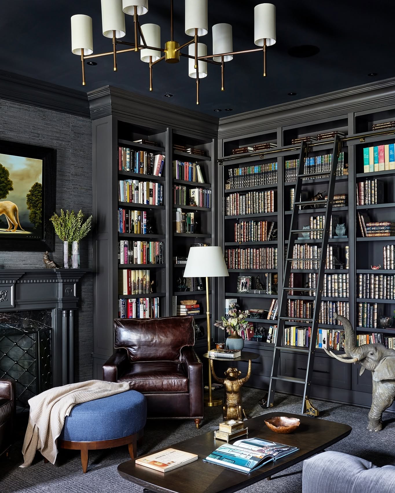 5. Let a Library Ladder Emphasize Tall Shelves
