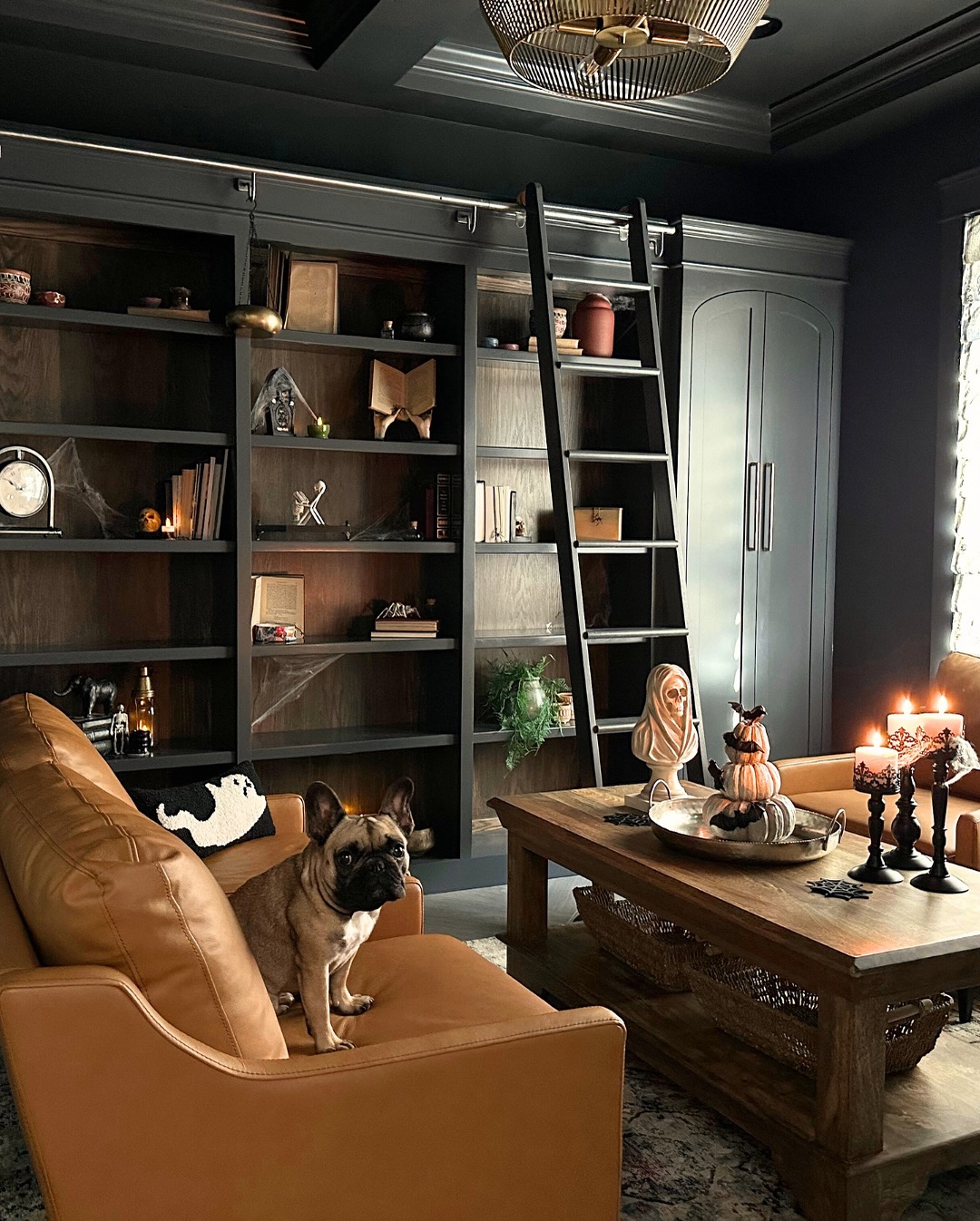 8. Give Curiosities Space on Dark Display Shelves