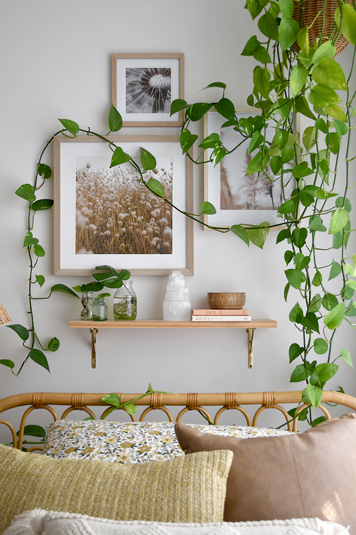 7. Connect Botanical Prints With Loose Trailing Vines