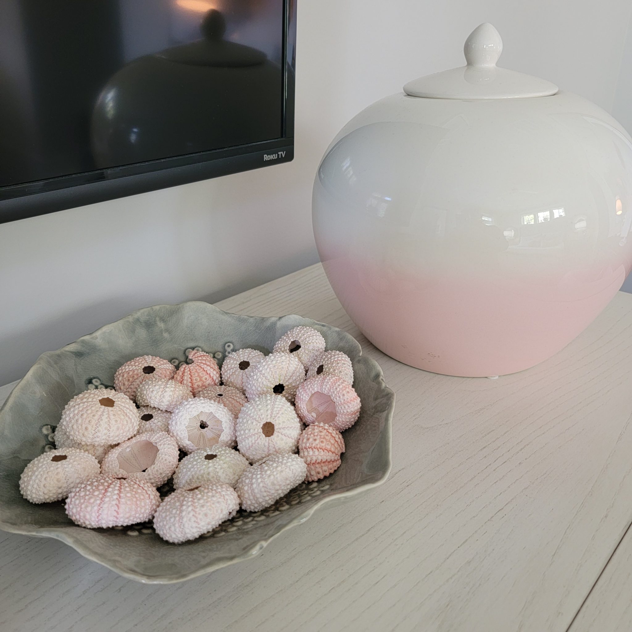 12. Group Pale Pink Shells in a Shallow Dish