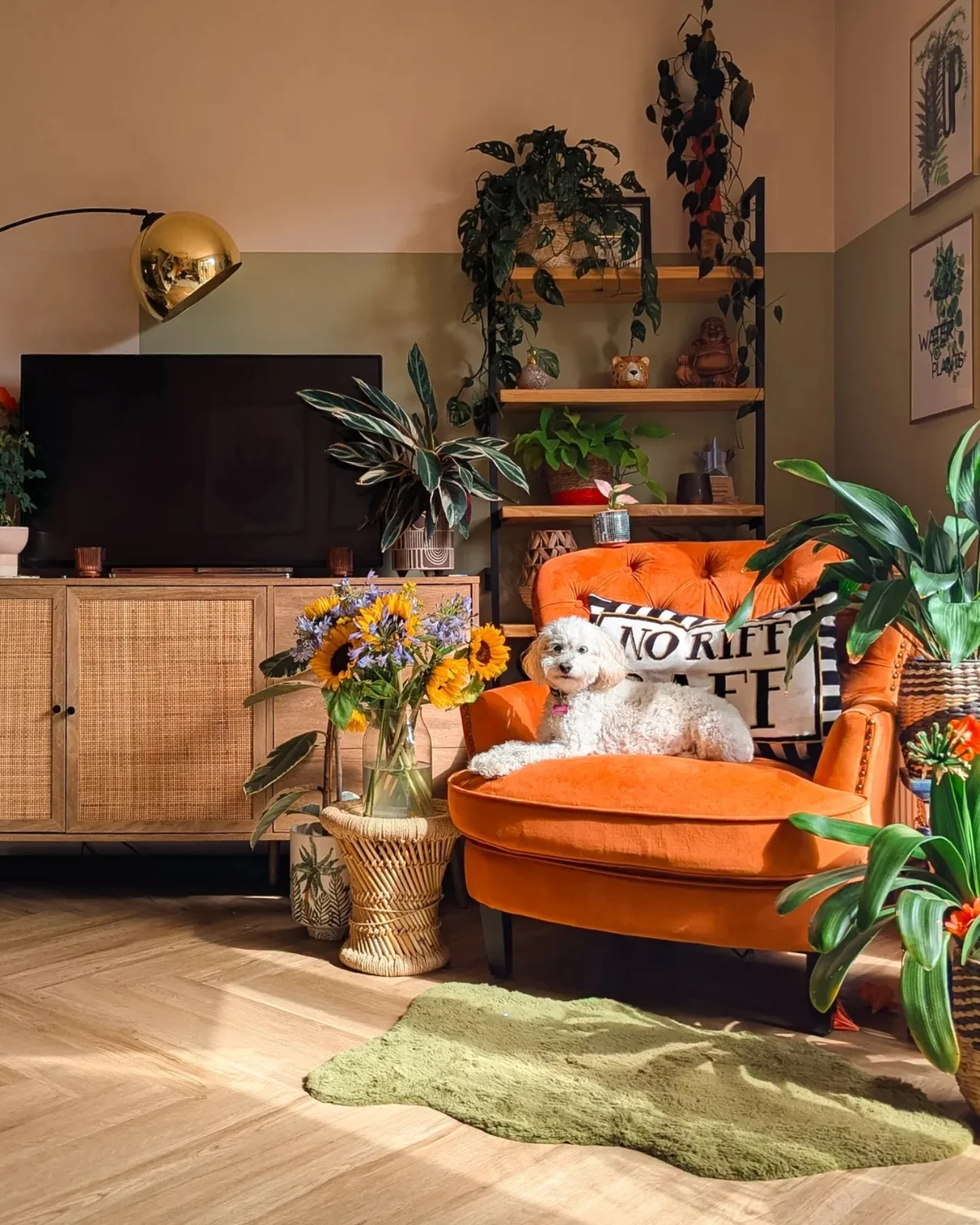 19. Set an Orange Chair Against a Green Color Band