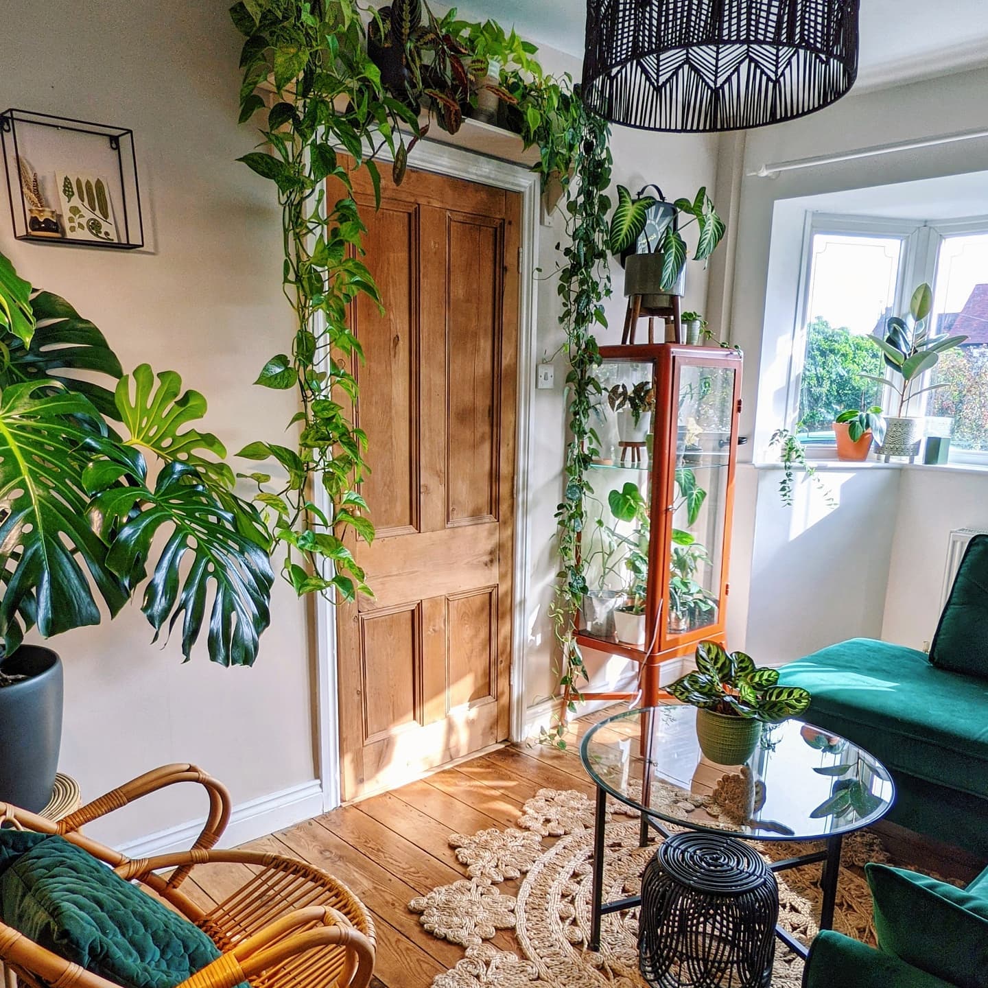 20. Frame a Doorway With Trailing Greenery
