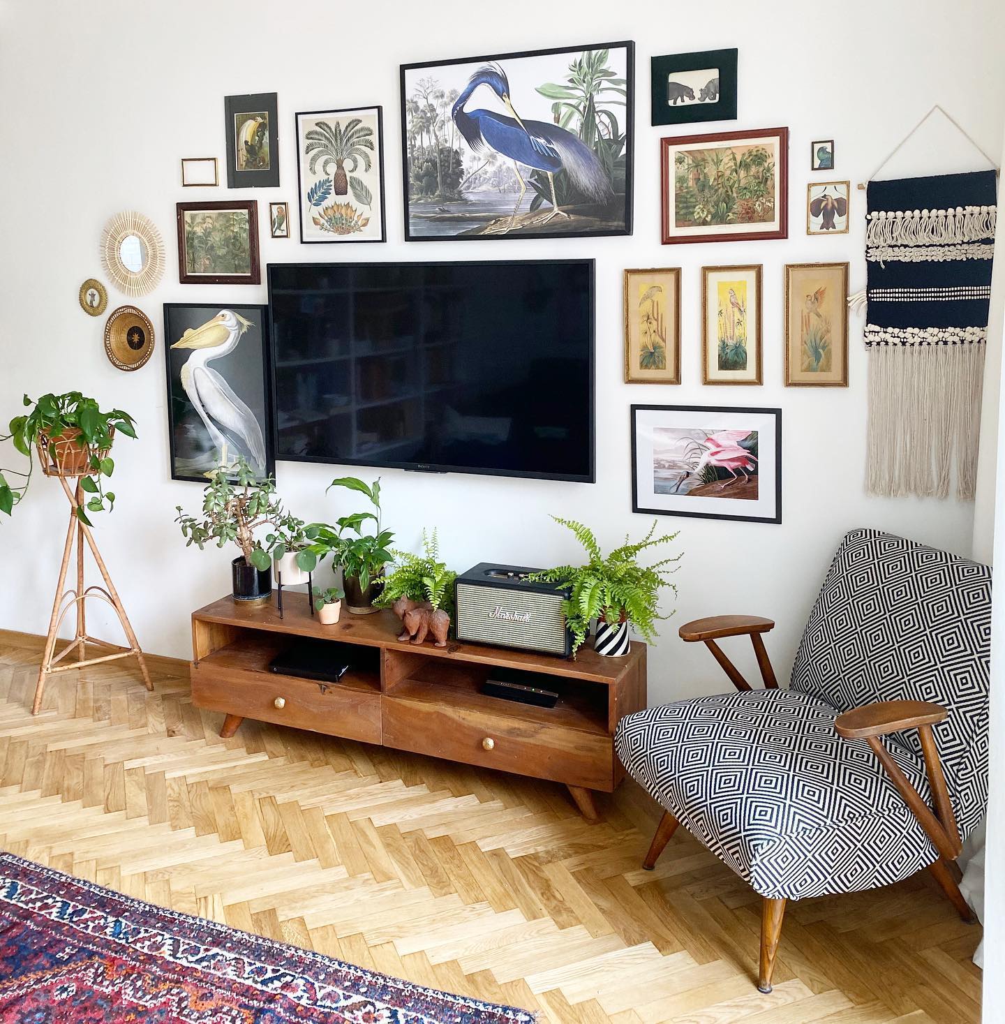 17. Build a Bird-Themed Gallery Around the TV