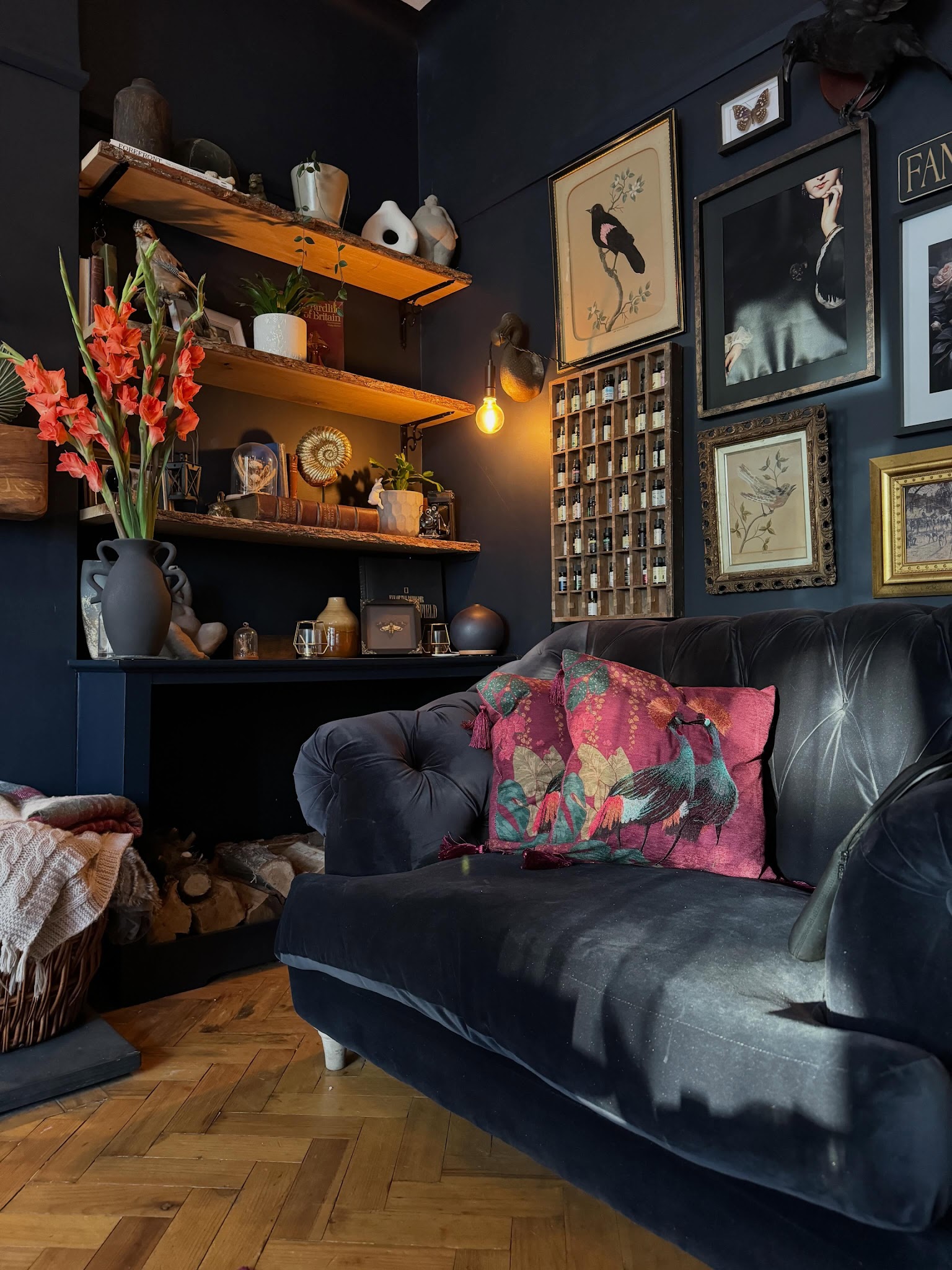 6. Arrange Natural Curiosities Around a Dark Sofa